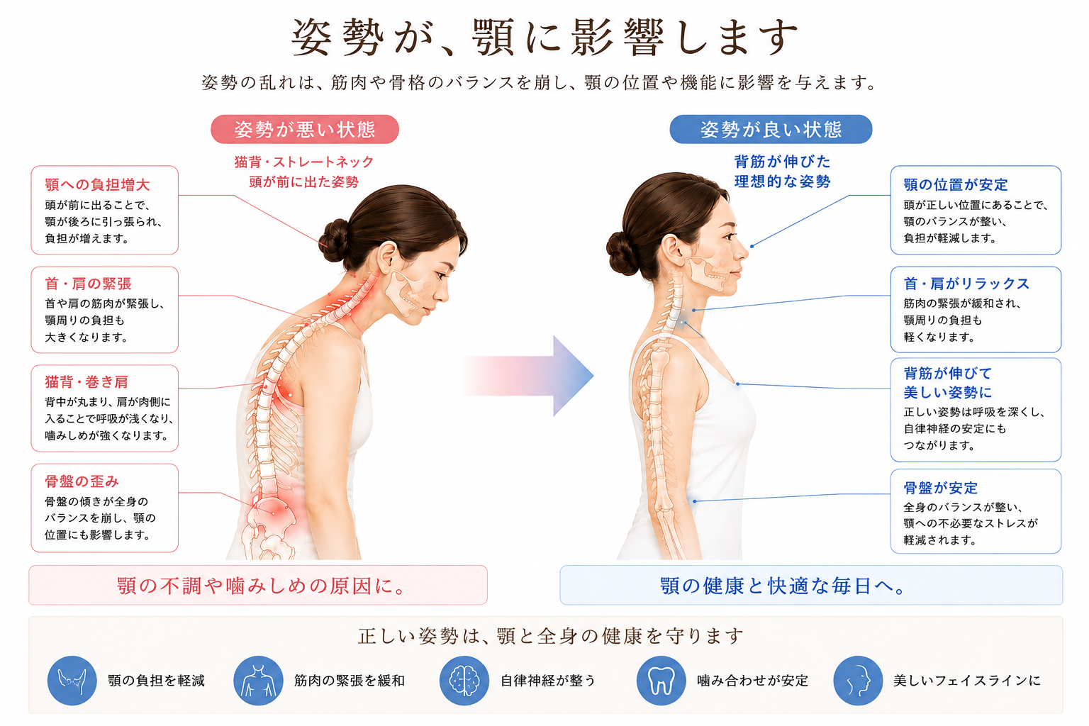 顎と姿勢の関係